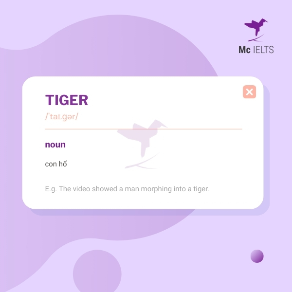 Vocabulary tiger topic Wild animals