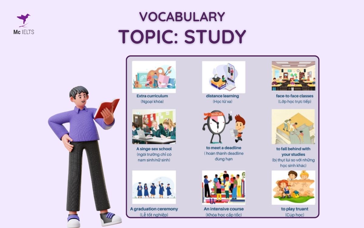 Vocab phổ biến trong chủ đề Study Speaking Part 1, 2, 3