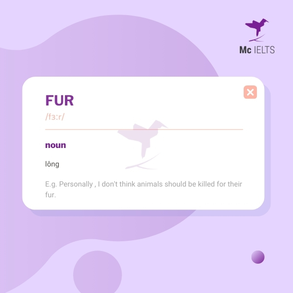 Vocabulary fur topic Toys