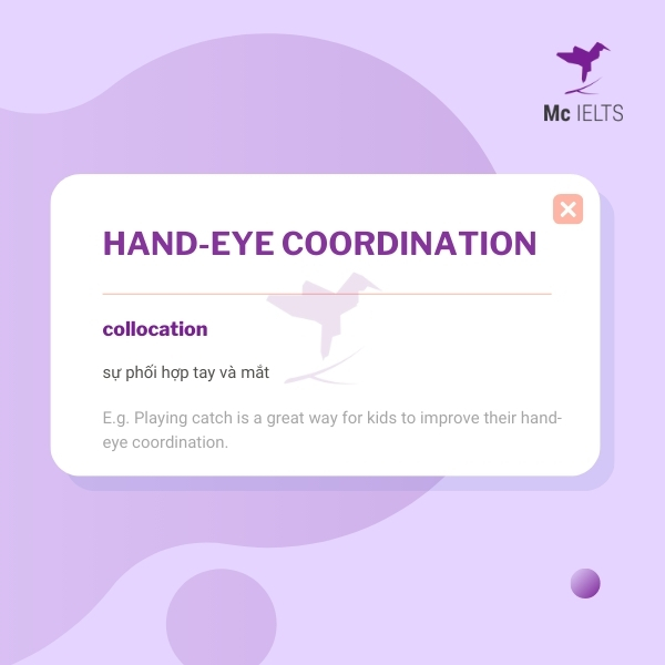 Vocabulary hand-eye coordination topic Toys