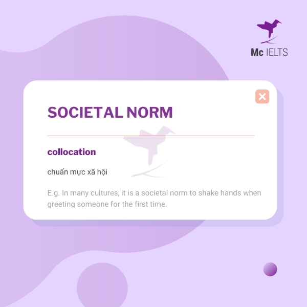 Vocabulary societal norm topic Toys