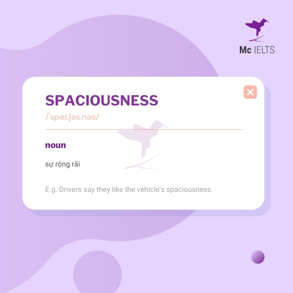 Vocabulary spaciousness topic Bags