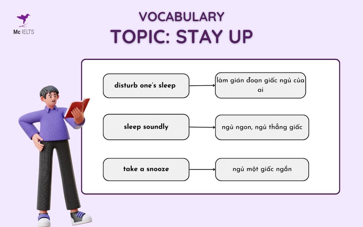 Vocab topic Staying up late IELTS Speaking Part 1