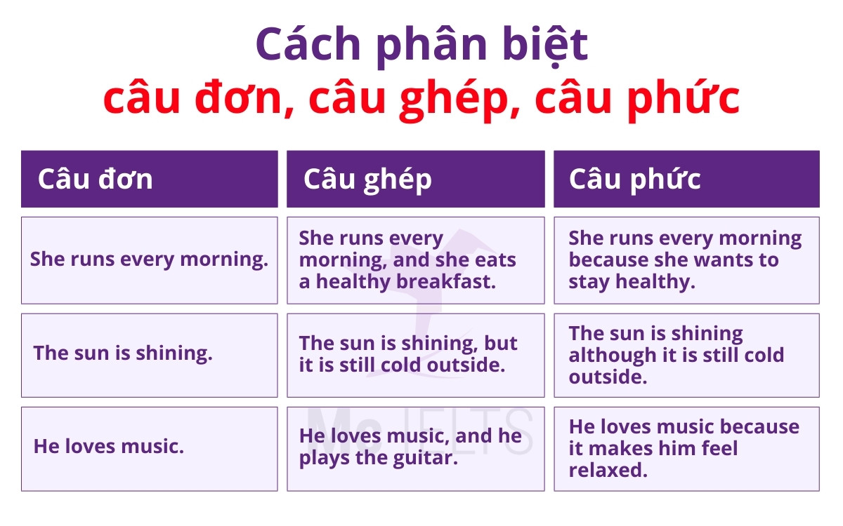 Bài tập cách phân biệt Simple sentence, Compound sentence và Complex sentence