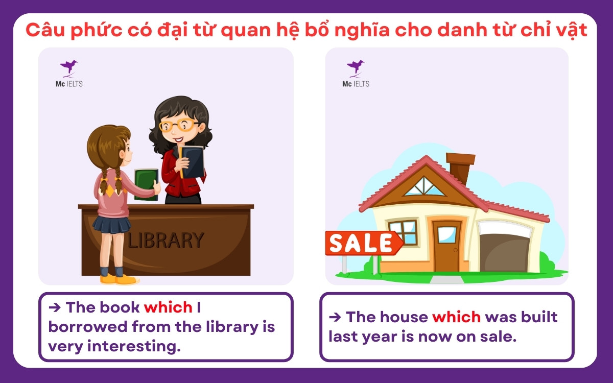 Ví dụ bài tập câu phức có đại từ quan hệ bổ nghĩa cho danh từ chỉ vật