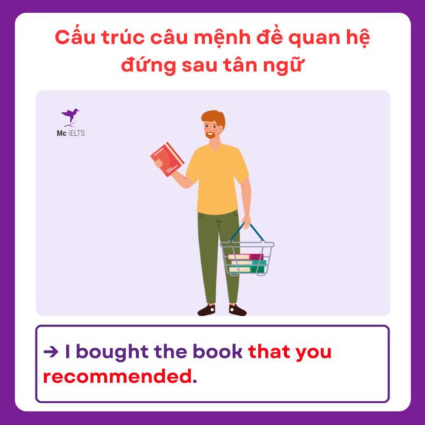 Relative clause c c lo i m nh quan h v d v b i t p