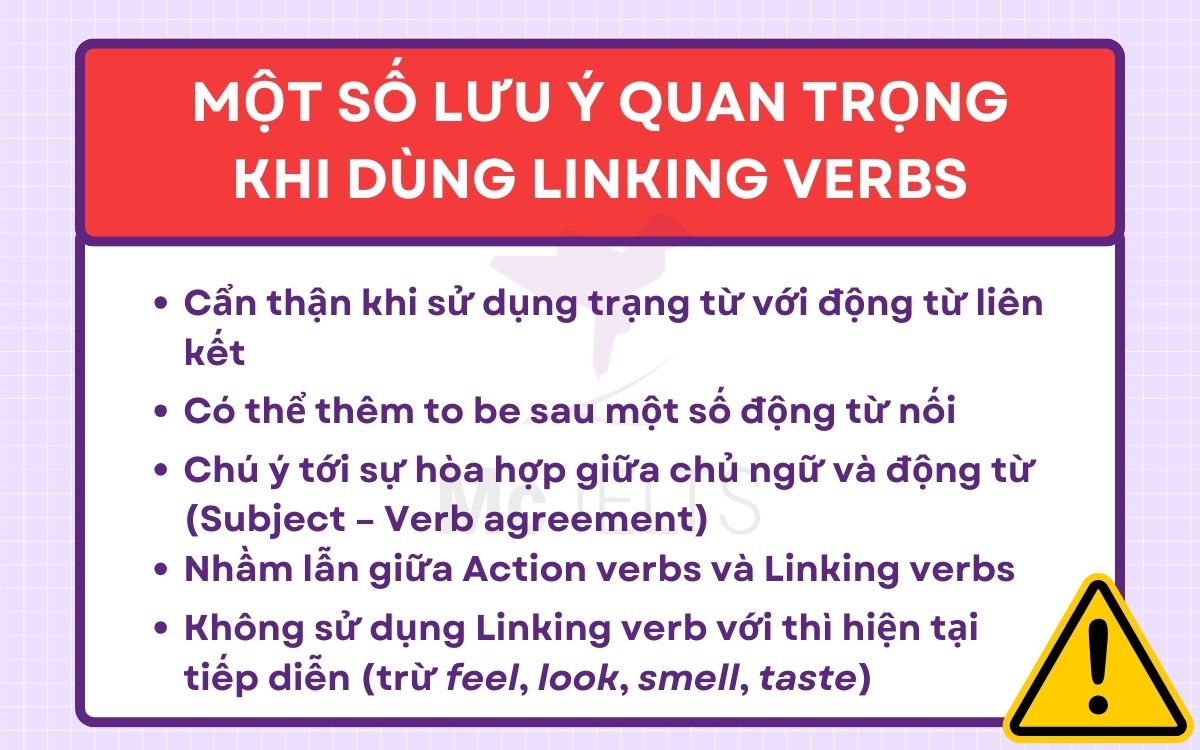 Lưu ý và bài tập về động từ liên kết