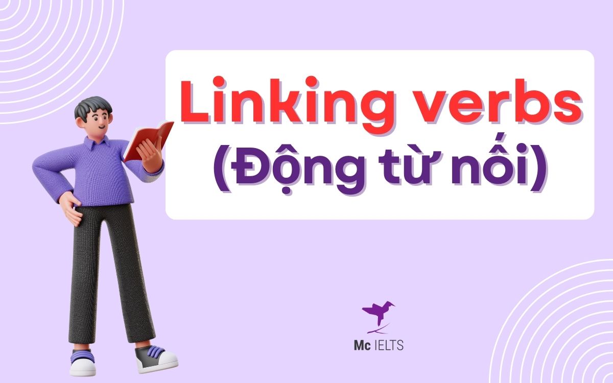 Tìm hiểu về động từ nối là gì?