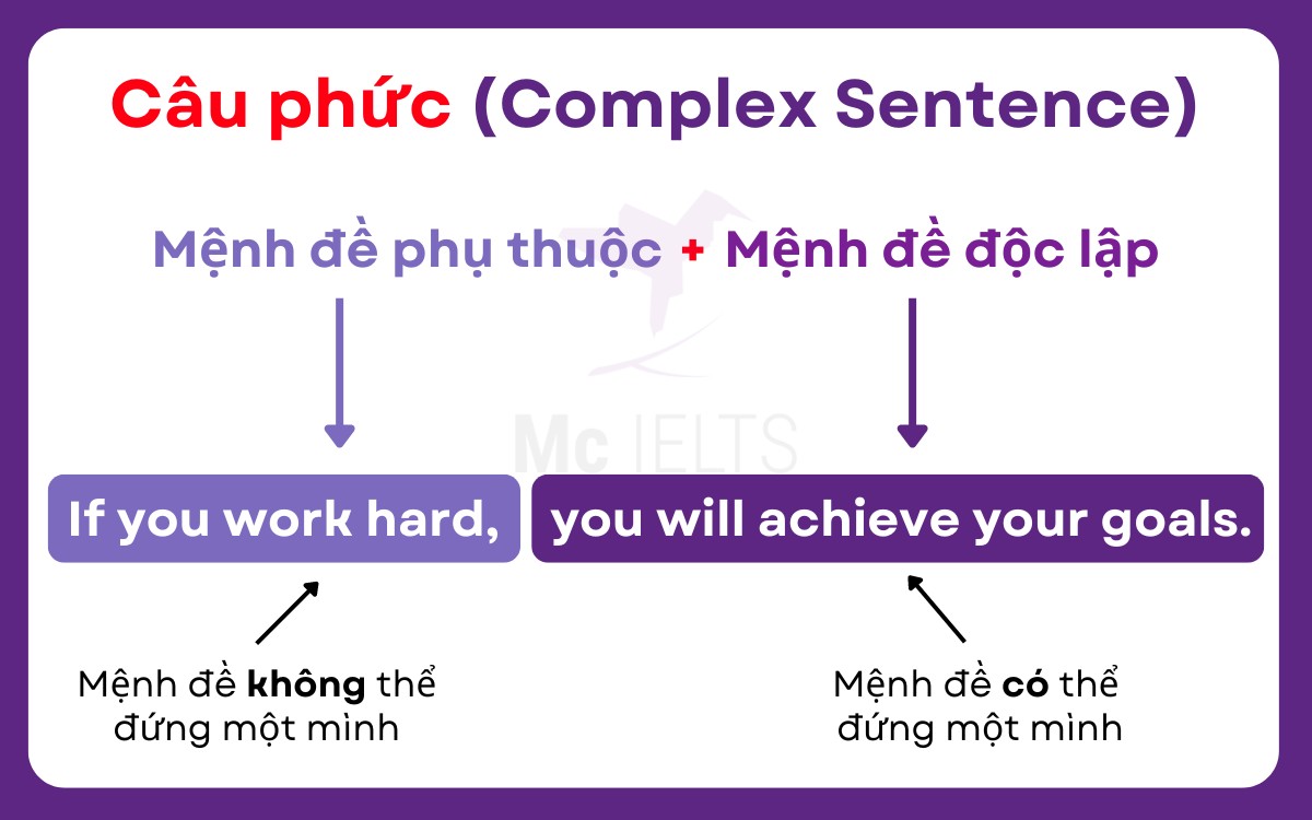 Tìm hiểu câu phức tiếng Anh là gì? Công thức và bài tập