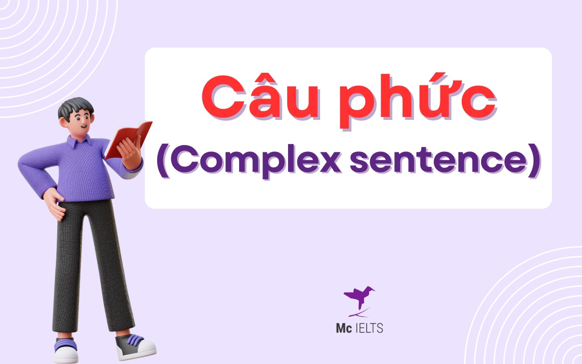 Complex sentence là gì? Ví dụ và bài tập