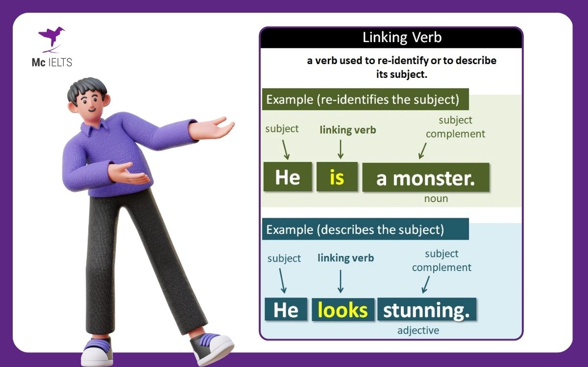 Tìm hiểu về Linking verbs